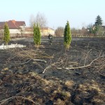 Interwencja pożar trawy regulska zd4