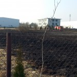 Interwencja pożar trawy regulska zd1