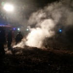 Interwencja pożar galezi zd1
